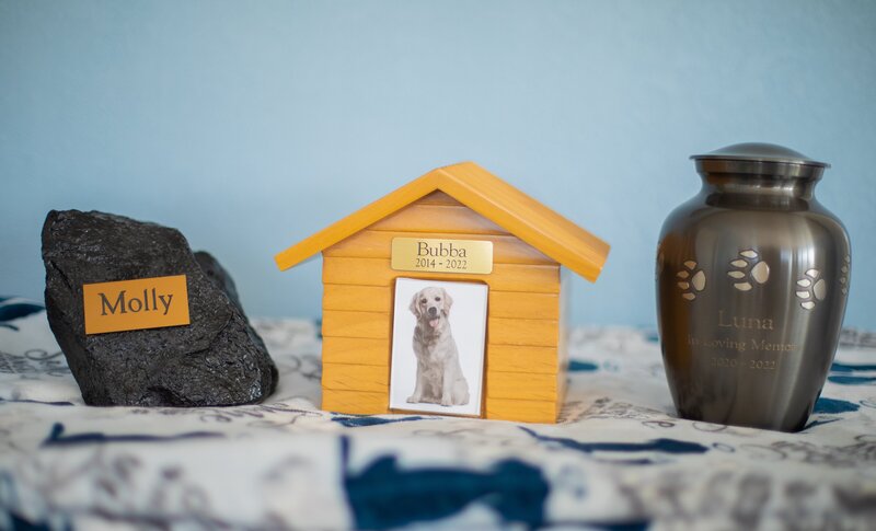 Three elegant urns provided by Nature's Way Pet Aquamation, offering families meaningful options to honor their beloved pets after the aquamation process
