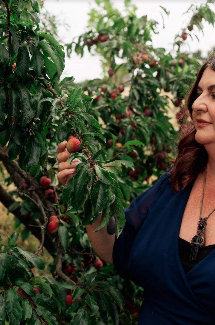 Screen Shot 2023-07-06 at 11.41.11 am