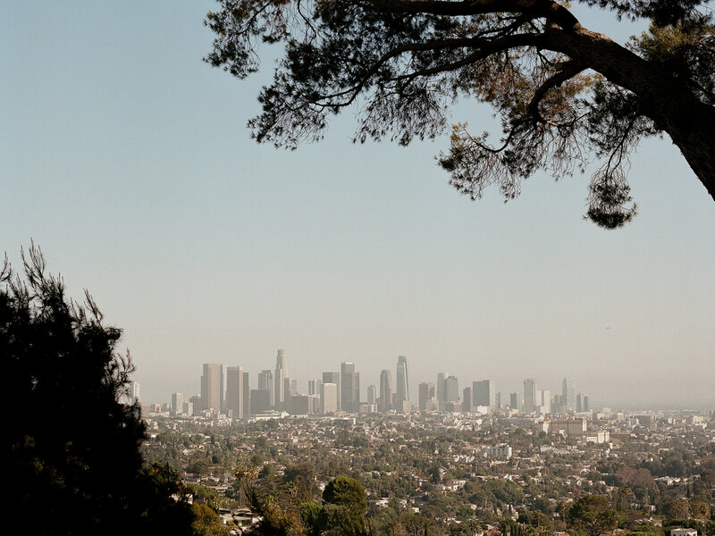 Brady Bates - The Paramour Estate-42