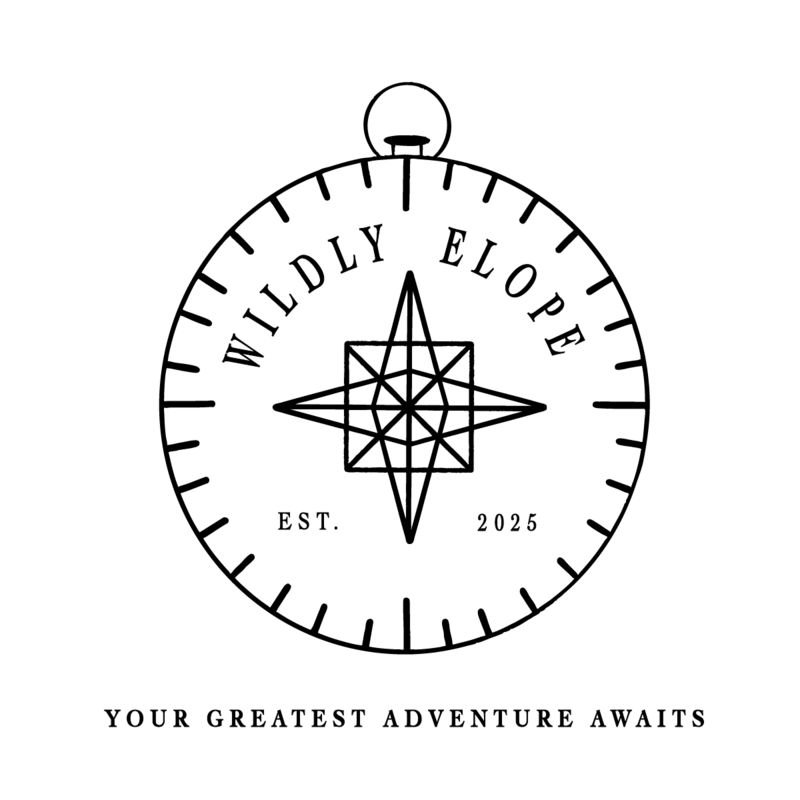 WildlyElope_logo_compass_black
