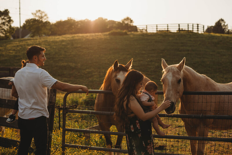 georgia family photographer - kattie jackson photography 