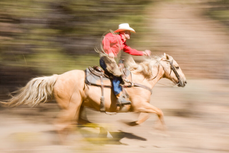 wenatchee-horse-photographer-yellowstone-horse-photos (116)