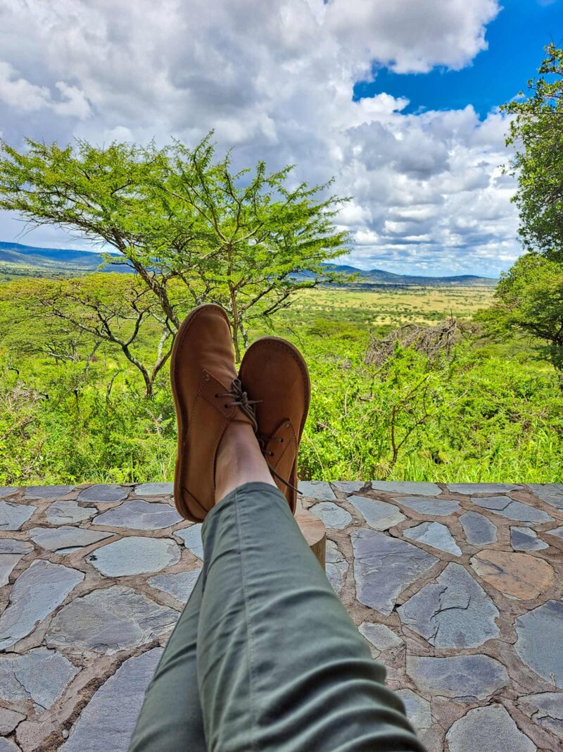 Tanzania Safari  (6)