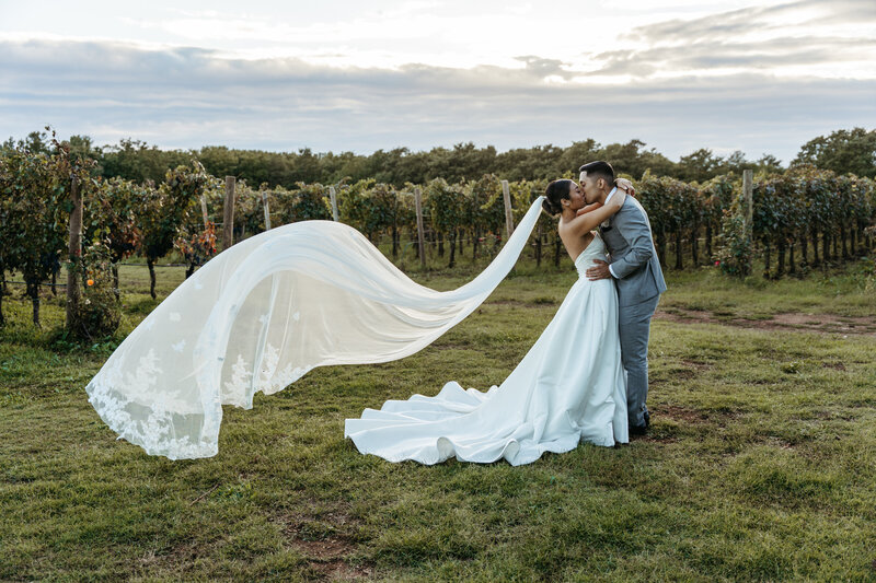 Croatia elopement in Istria in an Italian style vineyard