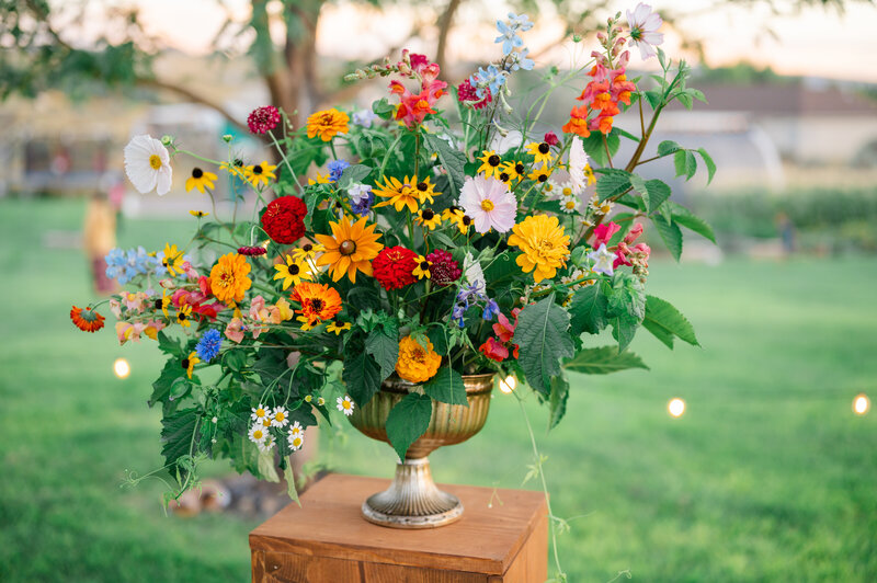 Idaho Falls Wedding Photographer