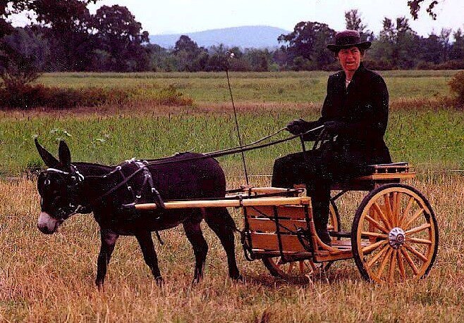 Dark Vader on cart 2002