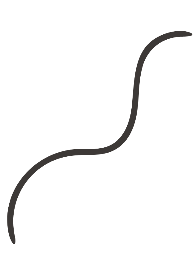 black squiggle design element