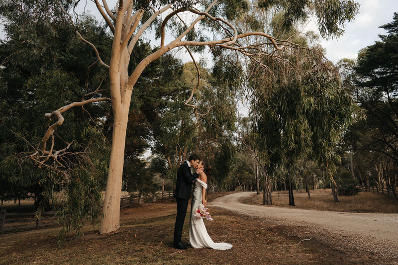 couple portrait under a big gum tree at Emu Bottom Homestead Sunbury