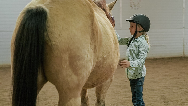 A child gently petting a white horse at Spirit's Respite Ranch near Edmonton, Alberta, highlighting the bond between humans and animals in a peaceful, therapeutic setting.