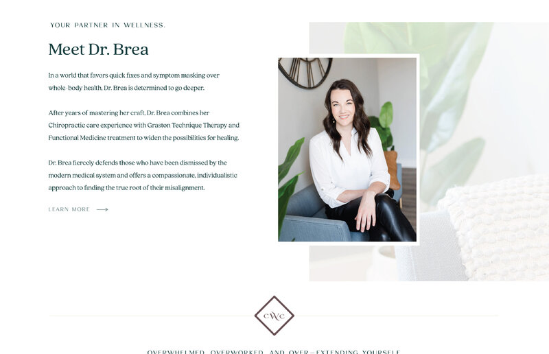 Brea Schemenauer - website slidethrough-03