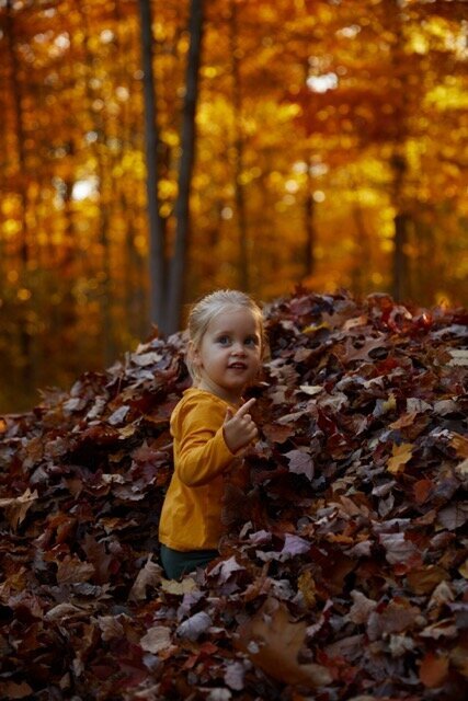 LeafPile_WhiteLake_MI 4 Medium