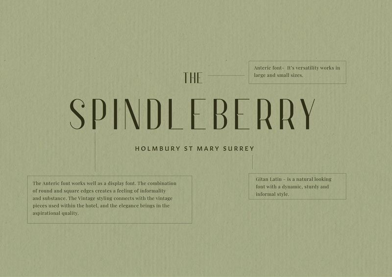 Spindleberry Main Logo