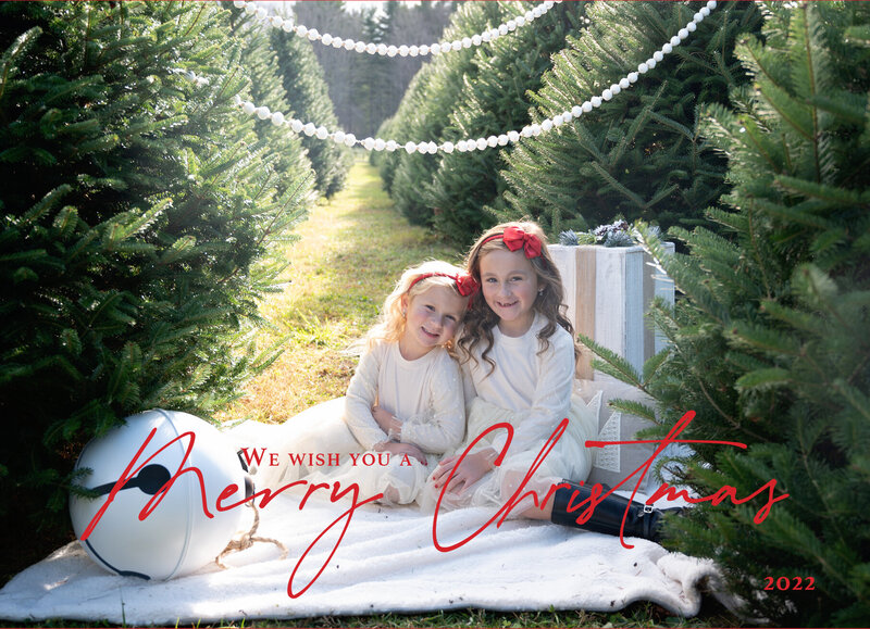 Two girls on a blanket at a christmas tree farm, sugar pines tree farm, chesterland