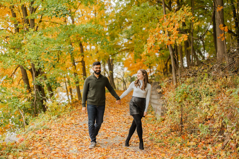 Nicole & Hozhabr Engagement -53