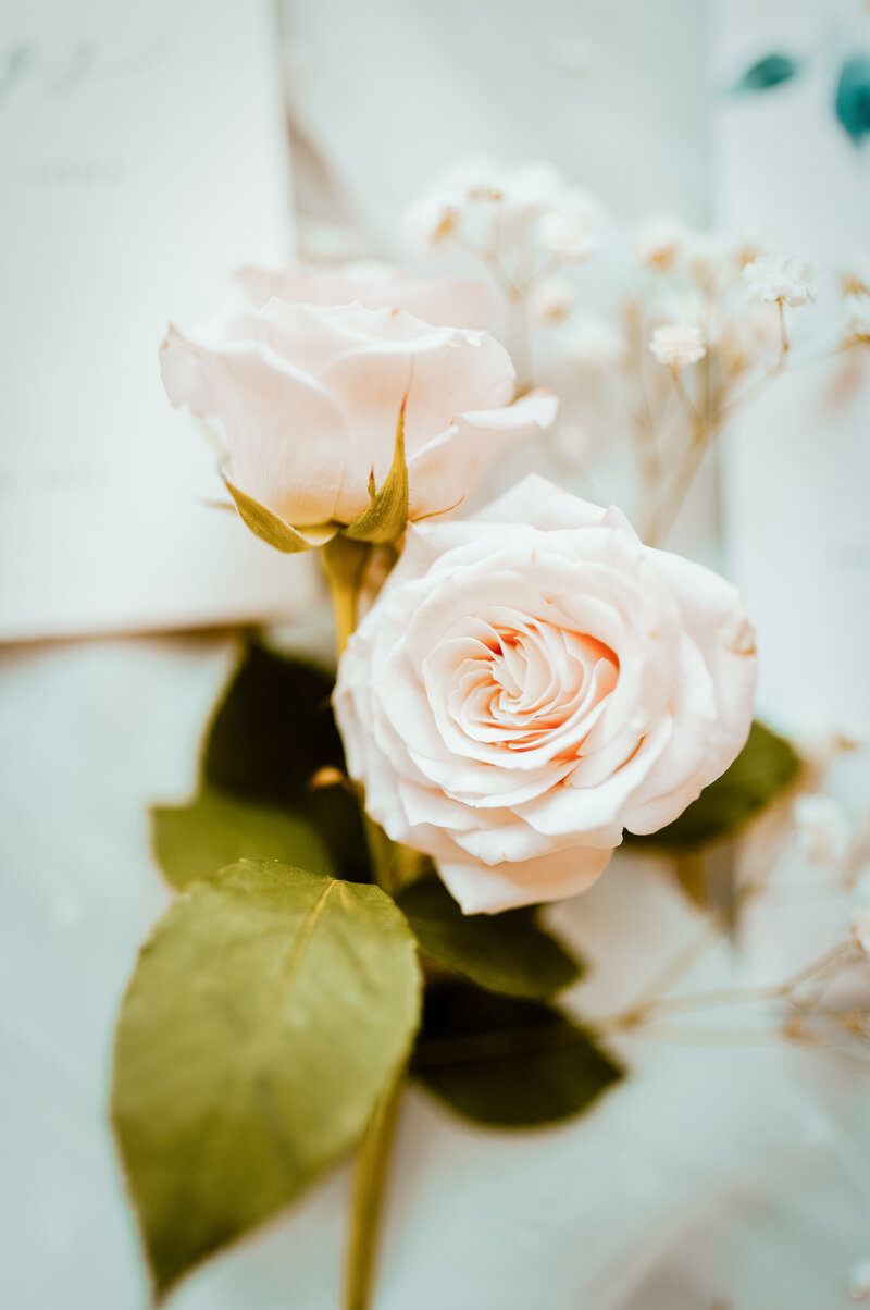 Roses by Kelsey Wallace McCrary from My Beloved floral in Nampa, Idaho