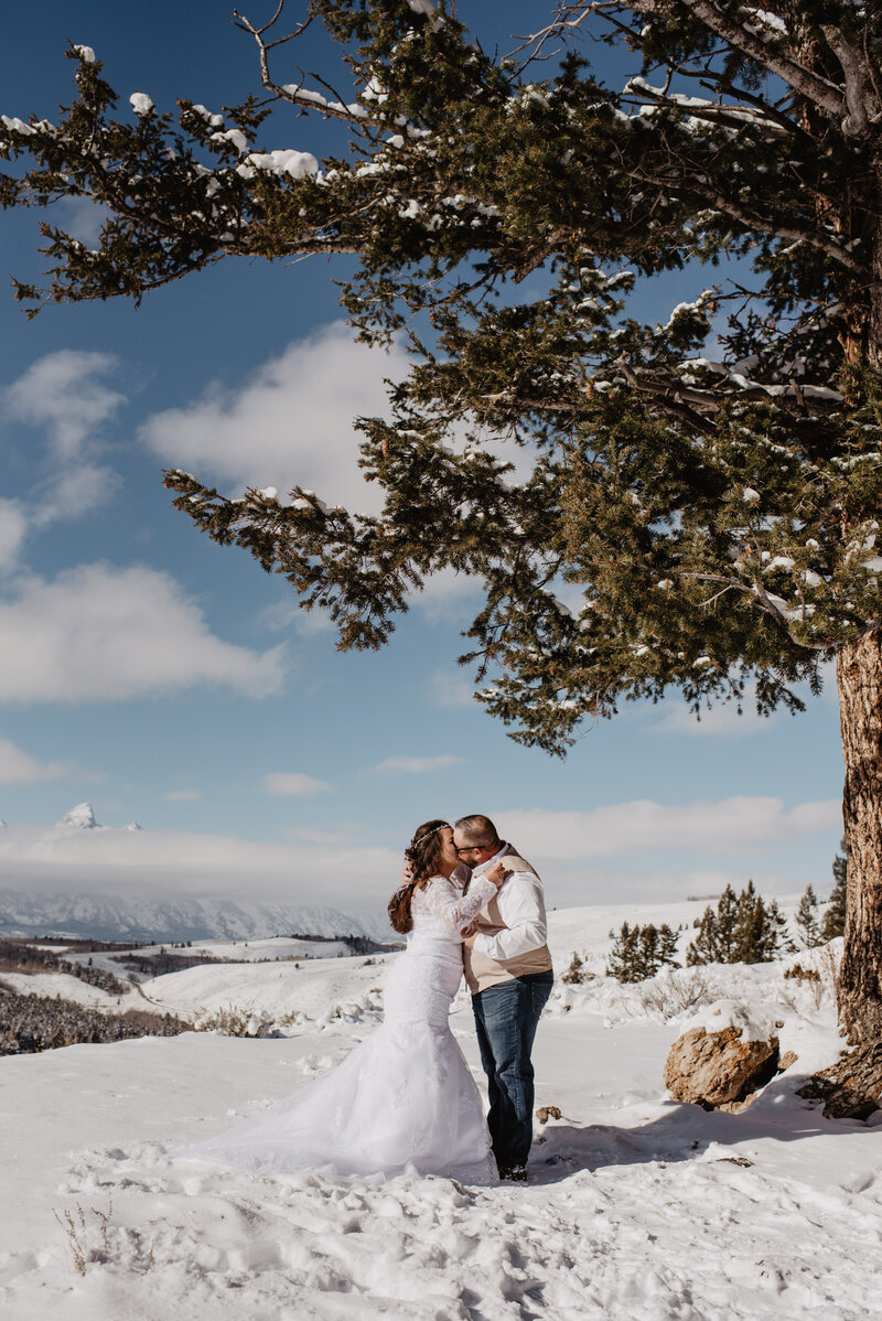 photographers jackson hole captures bride and groom kissing under the Wedding Tree in the Grand Tetons for their elopement