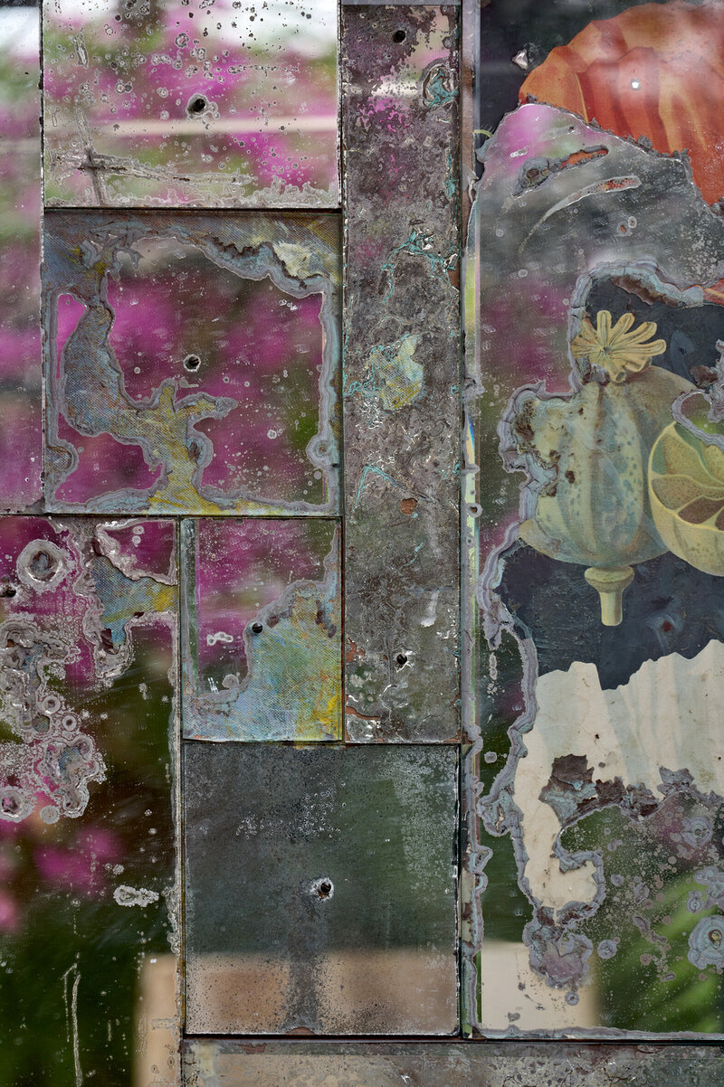 Cocoon-028