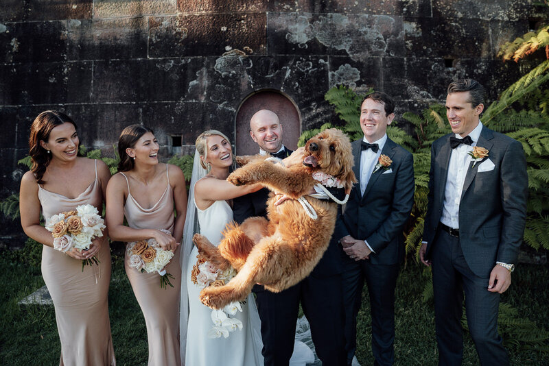 bridal-party-with-dog