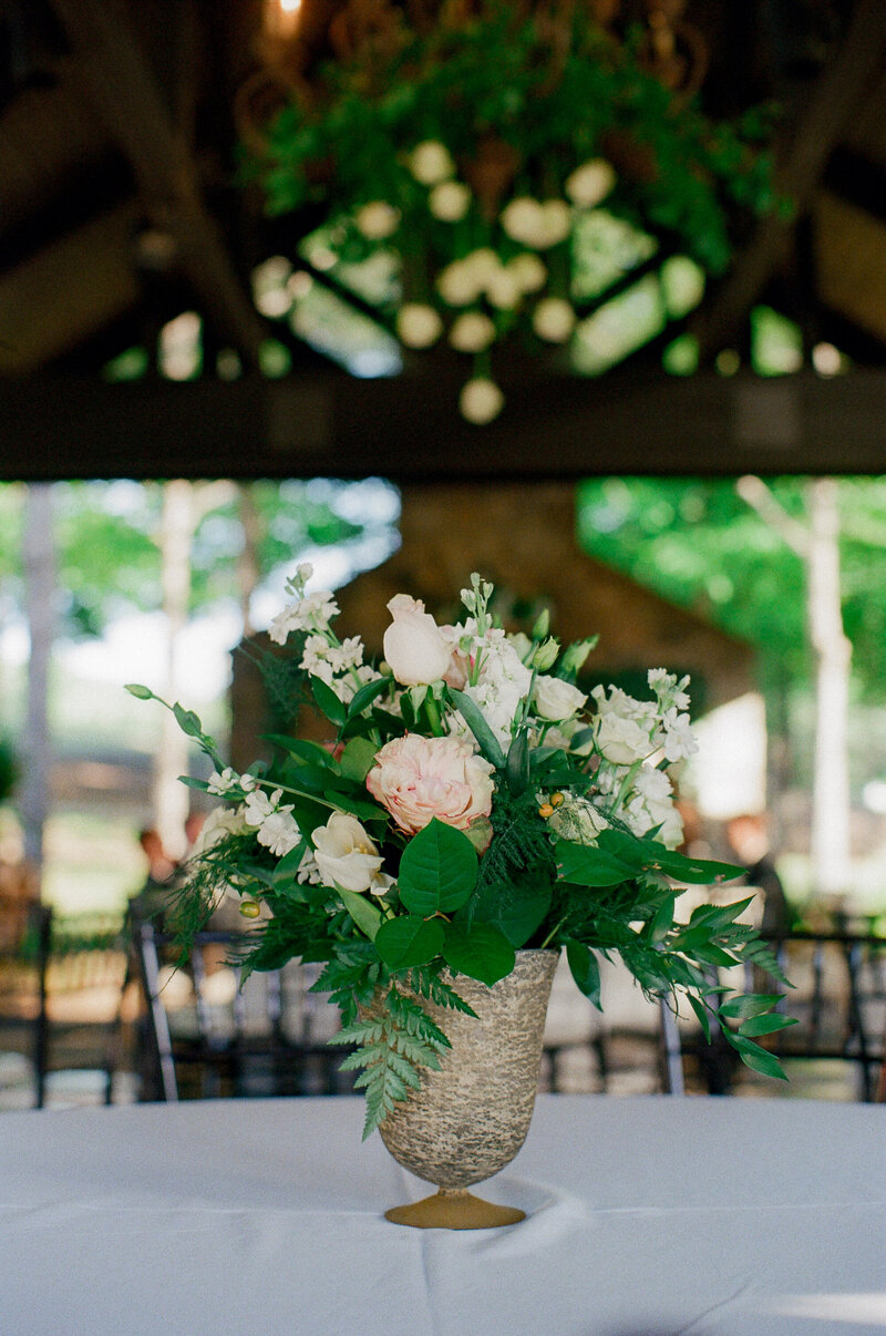 kodak_professional_portra_400_05_09_2024_000319640023