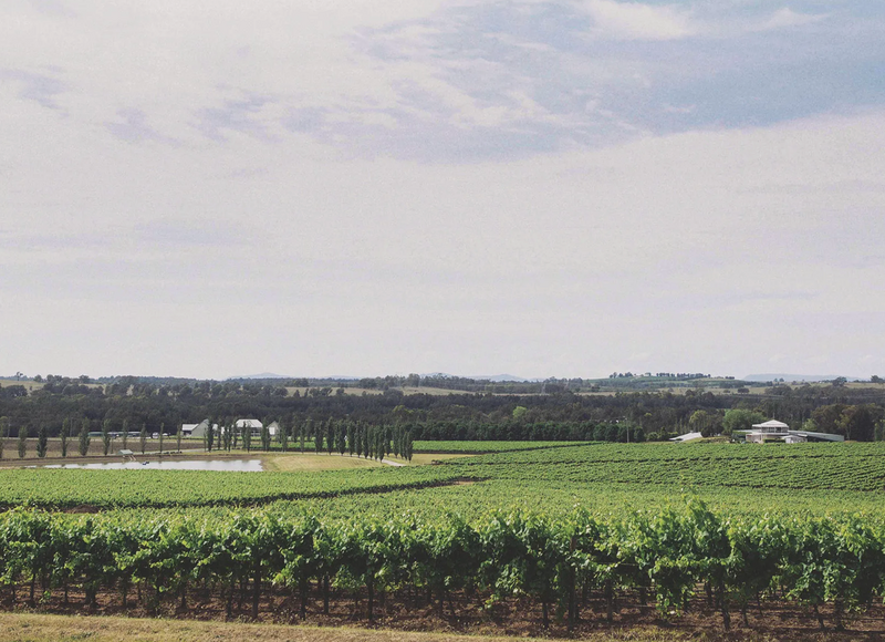 A laughing groom standing with his bride in pretty gardens