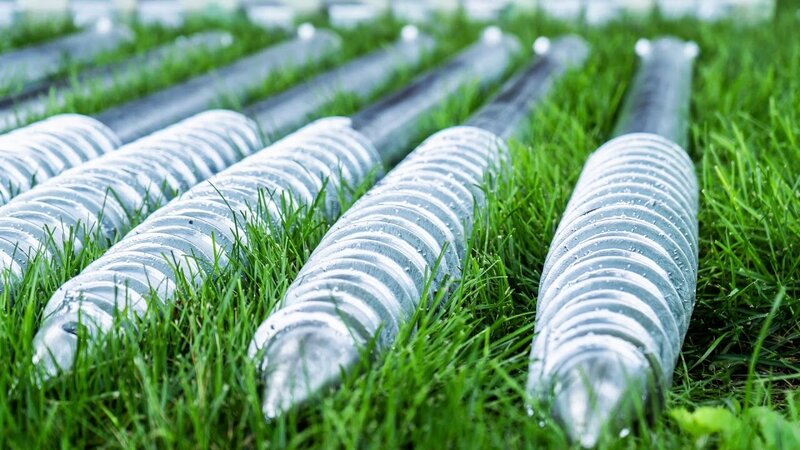 Close-up of American Ground Screws in lush green grass. 