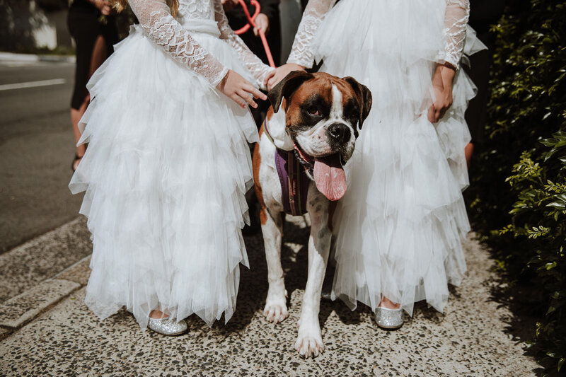 luna-park-wedding-lavender-bay-30