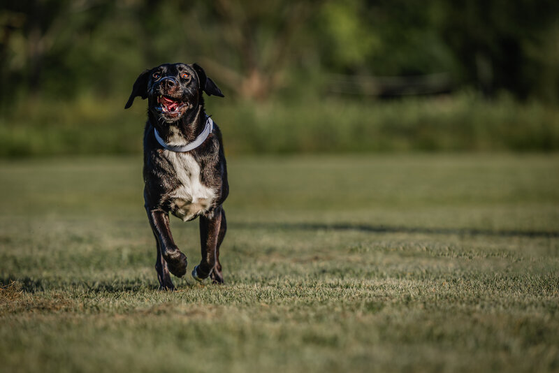 0T7A9930-Edit