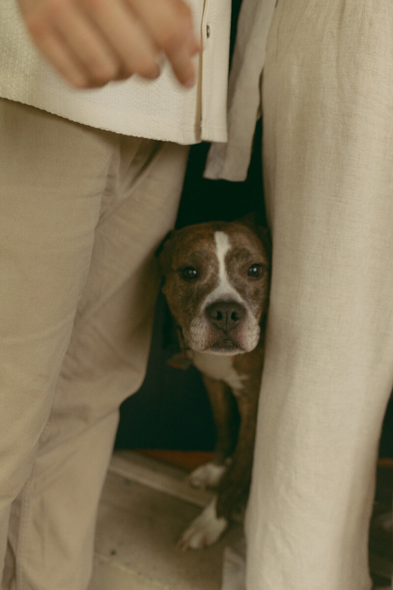 jess_+_nick_in_home_family_session (71 of 108)_websize