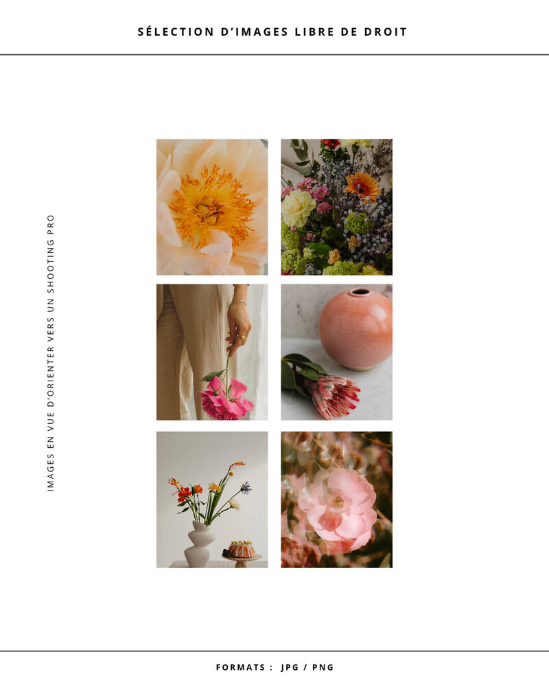 Photographie-Marque-Fleuriste