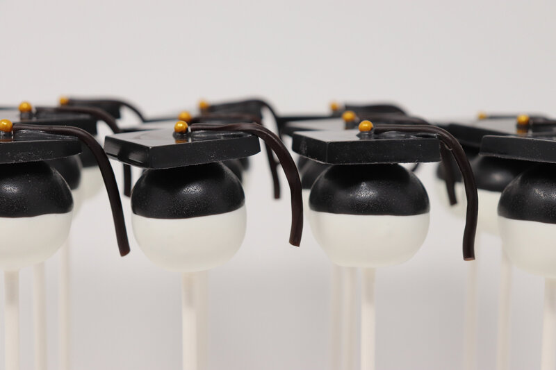 bakery - cakes - cake pops -north dakota -223