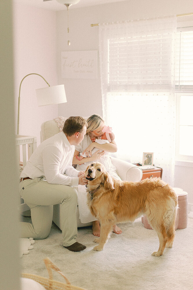 parents with newborn and golden retriever