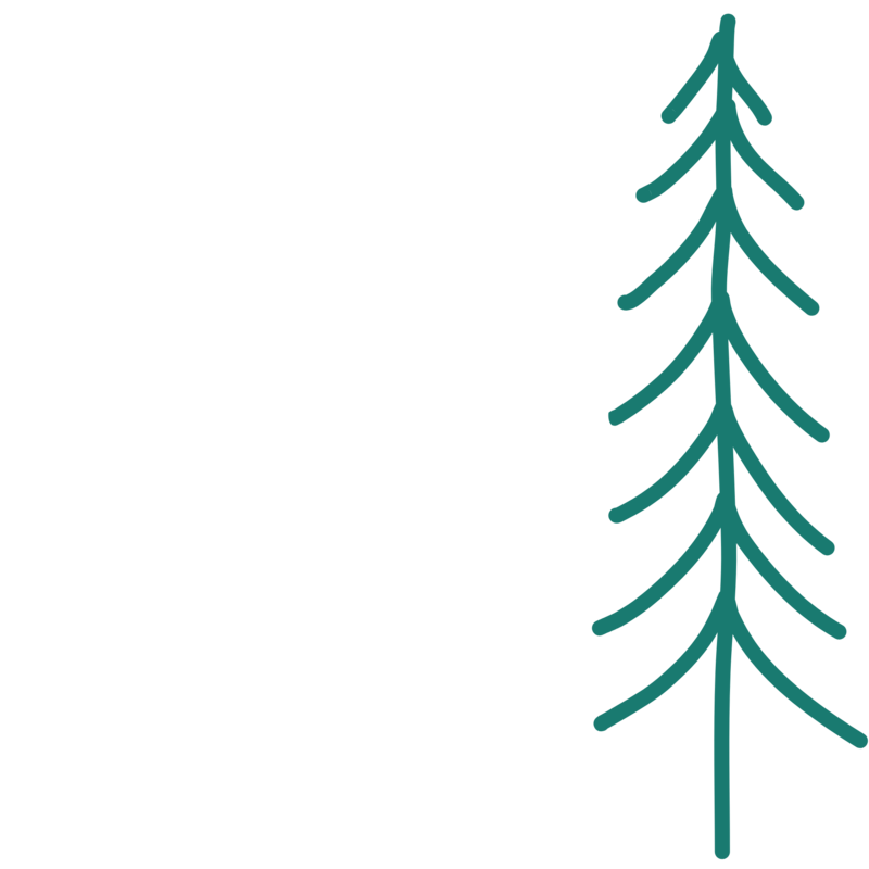Tall Pine Tree Graphic 