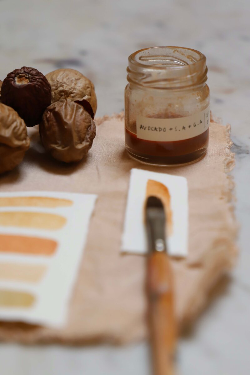 make paint from plants