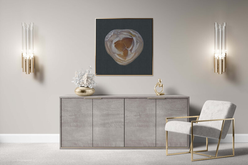Fine Art Canvas with a gold frame featuring Project Stardust micrometeorite NMM 650 for luxury interior design