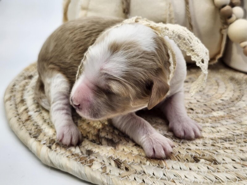 e9bb5453-66e0-4761-ad9f-1d07f9b9f6b0