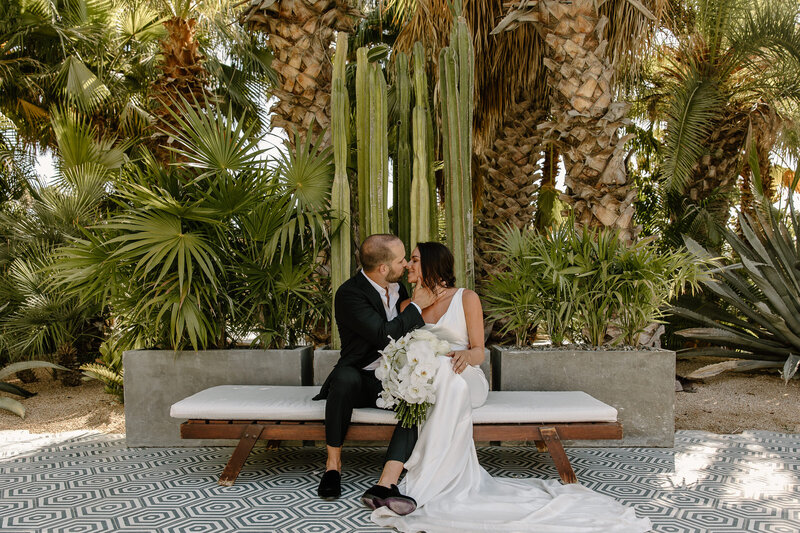 Bride and groom kiss on a bench surrounded by tall cactus and tropical palms at Acre Resort, Cabo wedding.