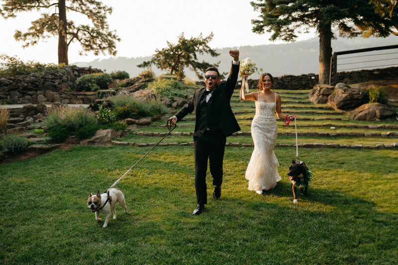 bride and groom with dogs entering wedding reception