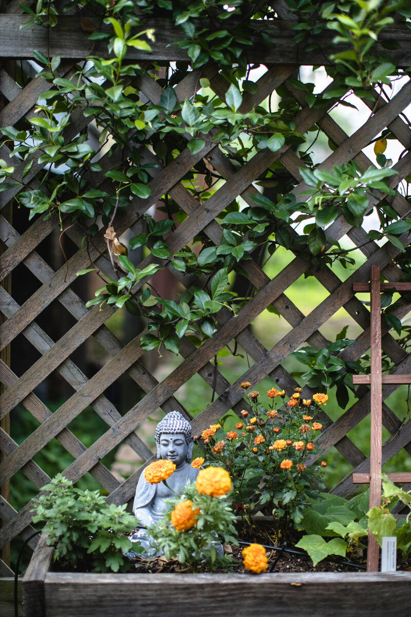 HIGH-RES-Grant-Street-Atlanta-Shades-of-Green-Erik-Meadows-Photography-22 (1)