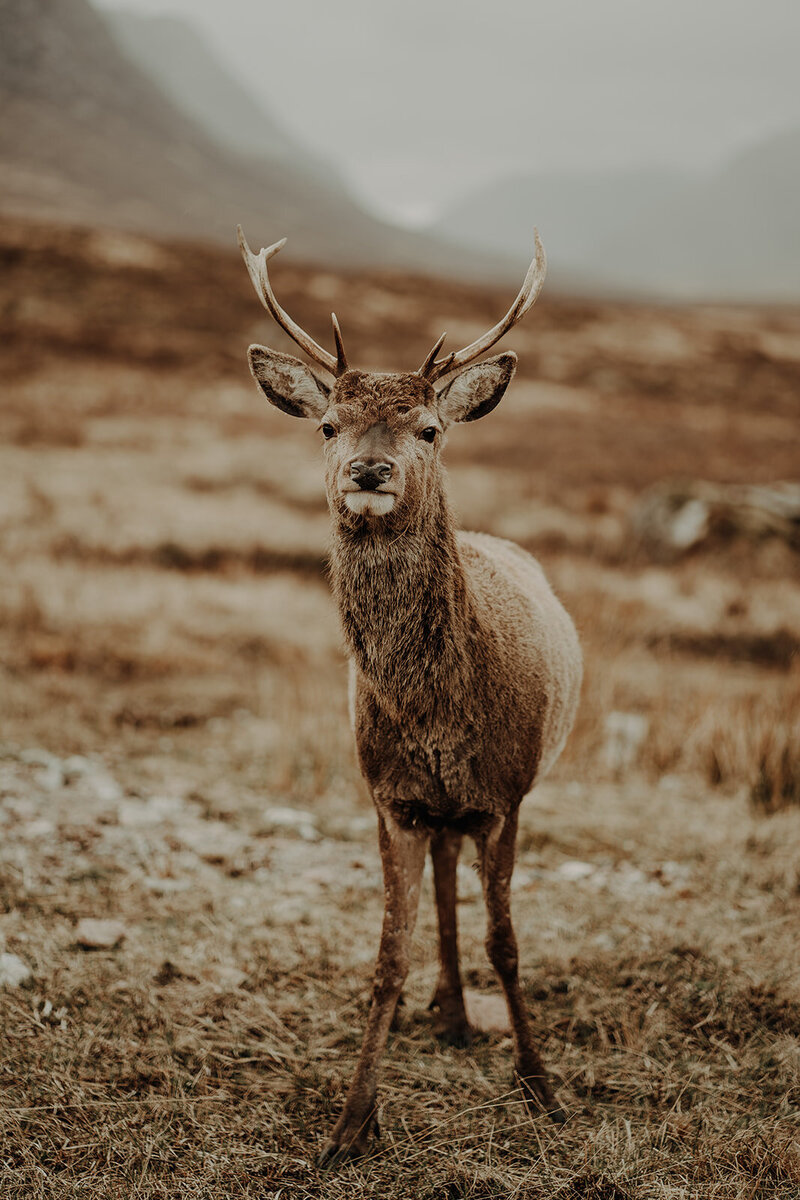 Danielle-Leslie-Photography-2021-alternative-scotland-wedding-photographer-0003