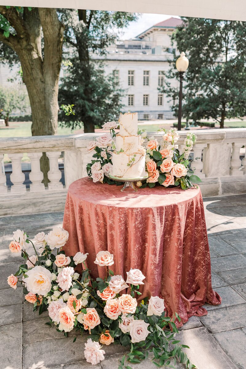 DAR-wedding-dc-wedding-photographer-rebecca-crosby-photography-_4233