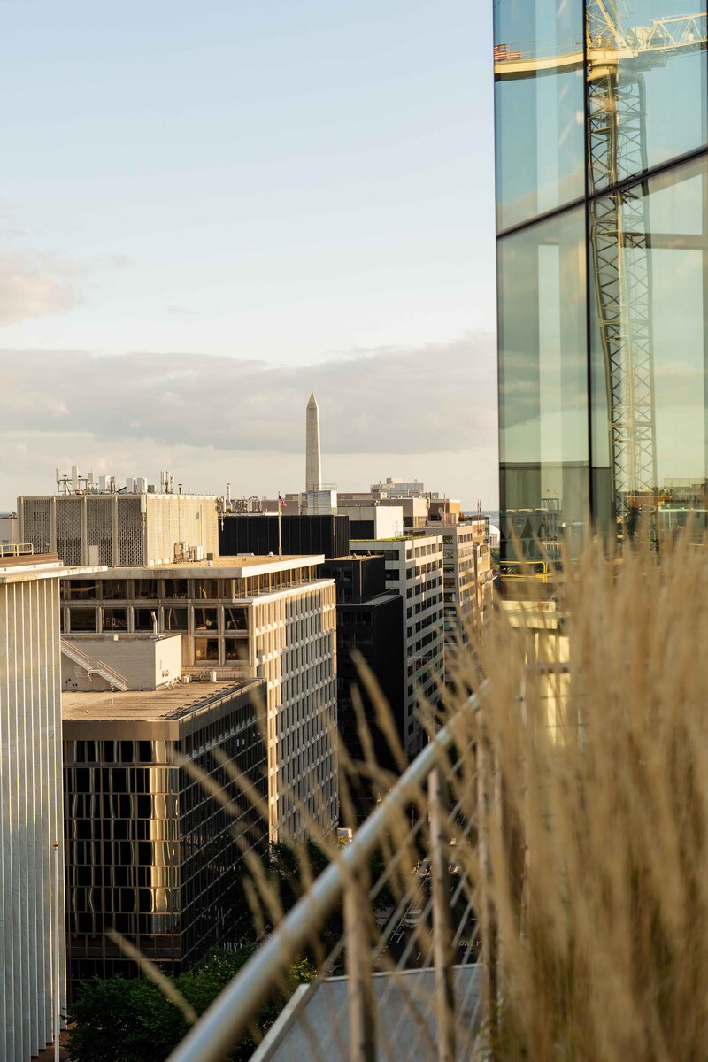 view from DC rooftop party