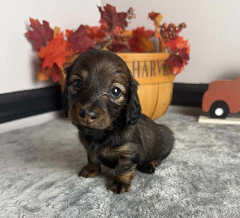 fd429462-d0b1-4b25-baeb-262380233d64