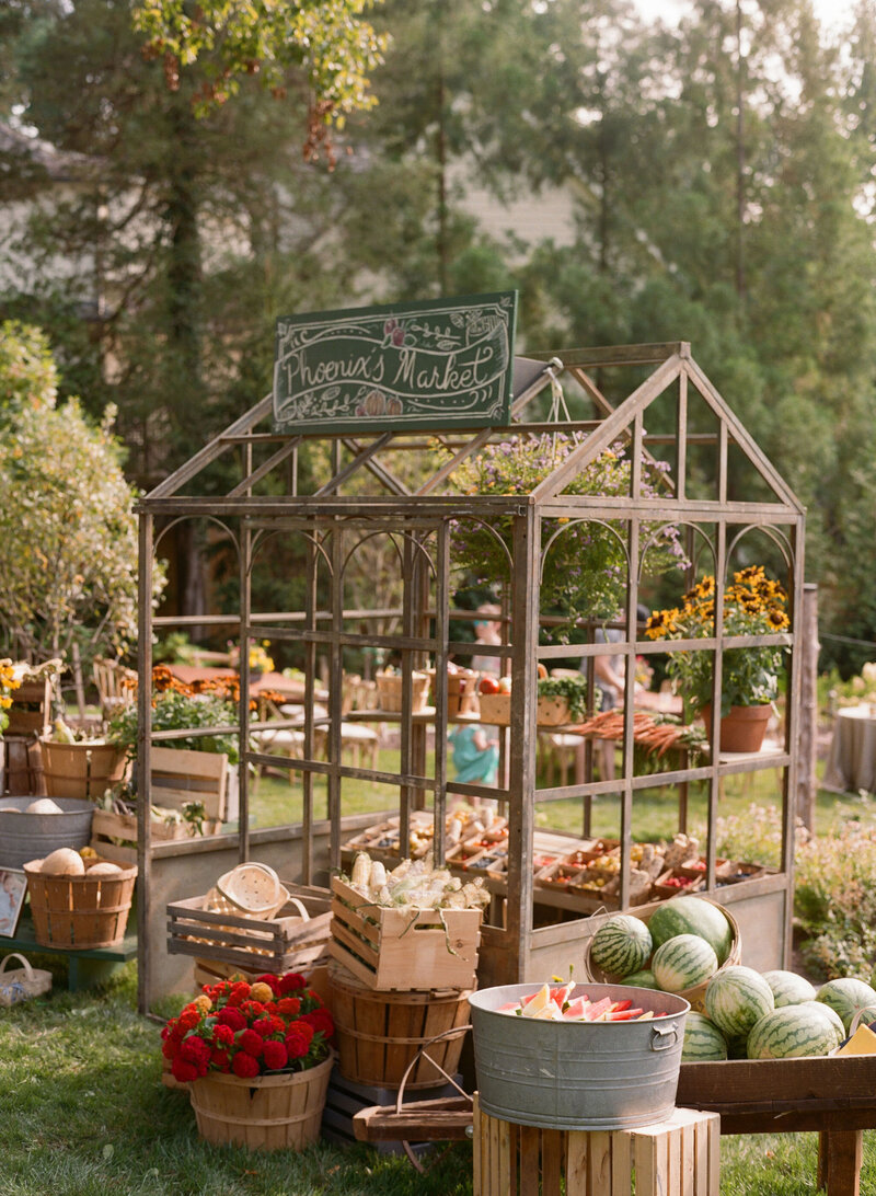 Luxury-Special-Event-Planner-Childrens-Birthday-Tented-Party0007