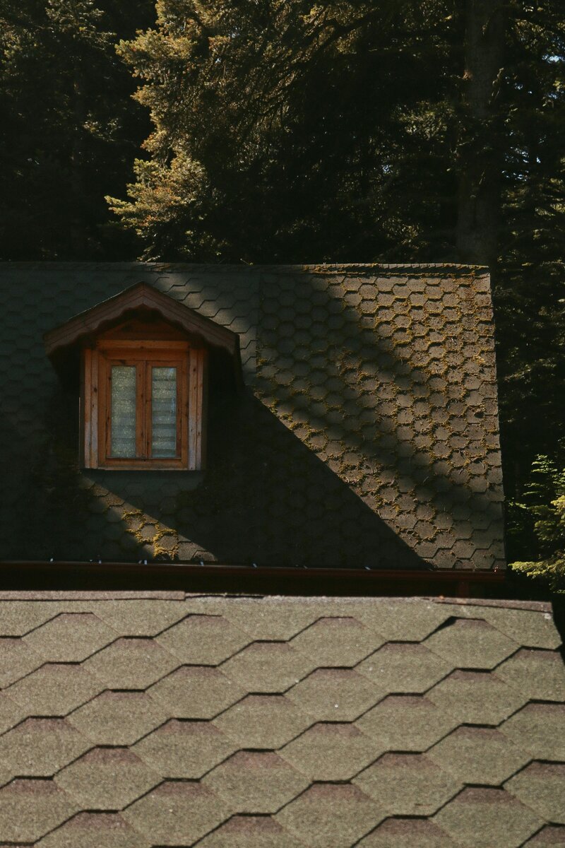 patterned rooftop and window