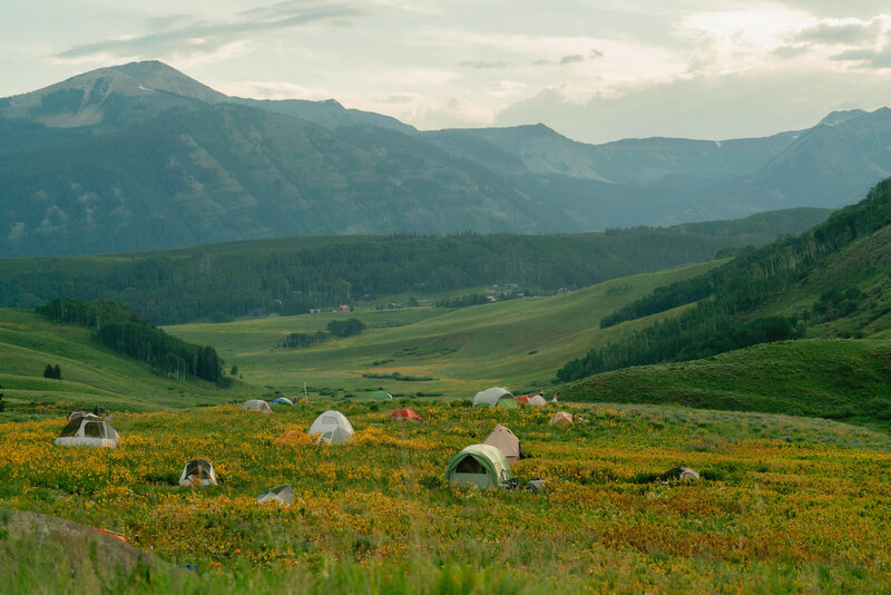 A_C_Crested_Butte_Wildflower_Engagement_Photos-143