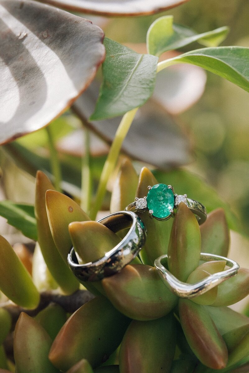 bride and groom wedding rings