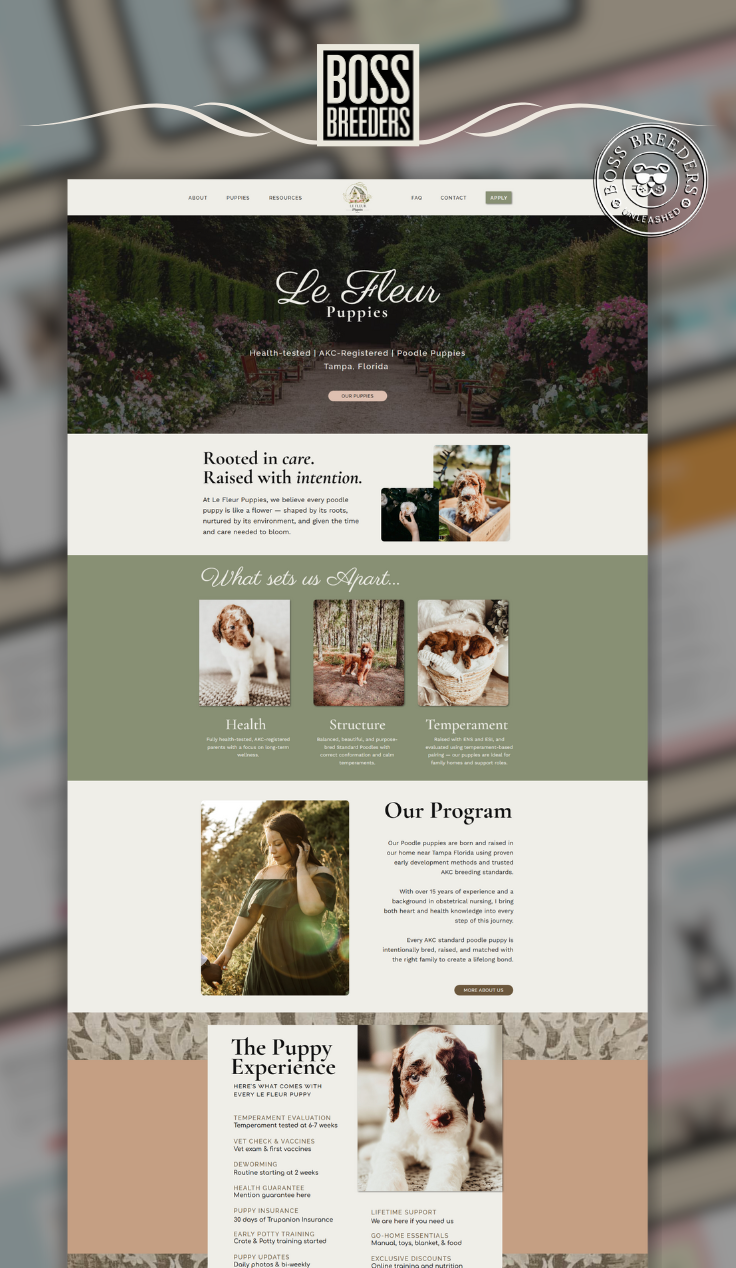 Done for you website design by boss breeders