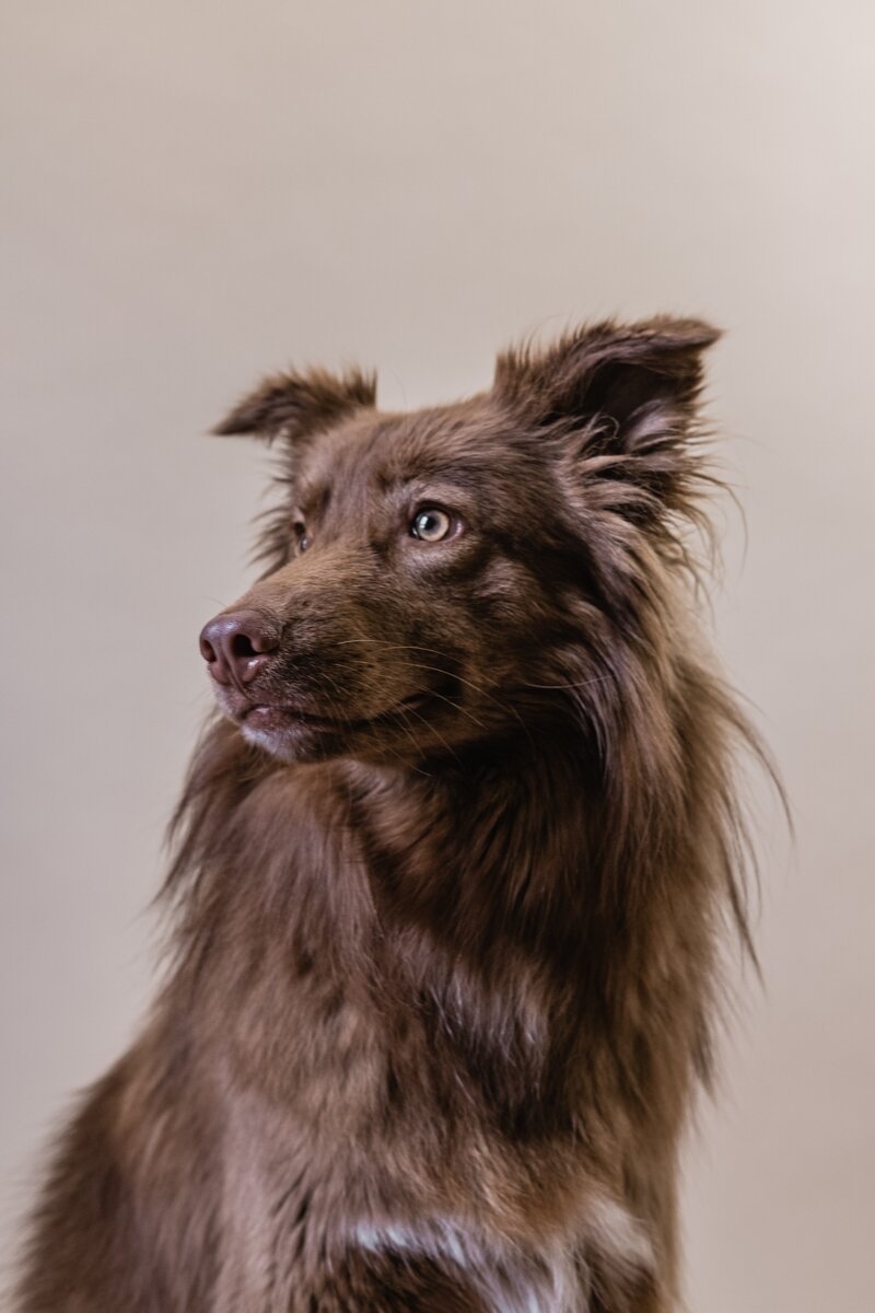 thom-bradley-PHjH72f72sE-unsplash