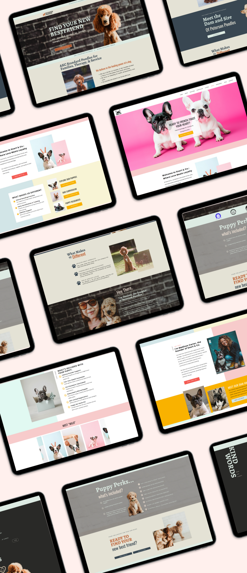 Boss Breeders website templates on computer screen mock ups