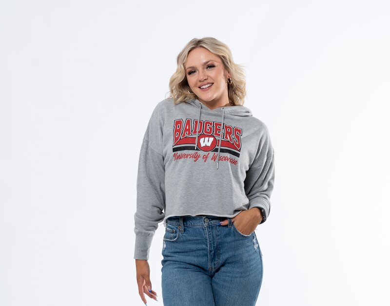 gray lightweight badgers hoodie